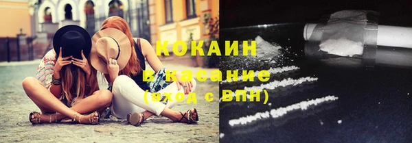 винт Пестово