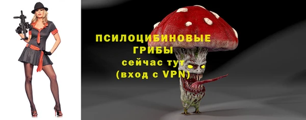 стафф Переславль-Залесский