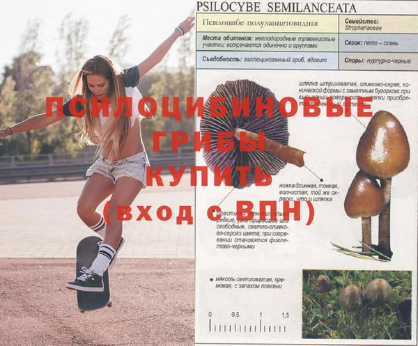 герыч Алексеевка