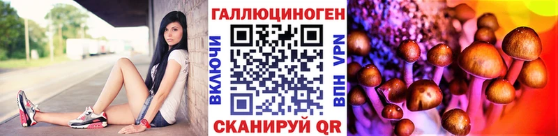 Псилоцибиновые грибы мухоморы  где найти   Анадырь 